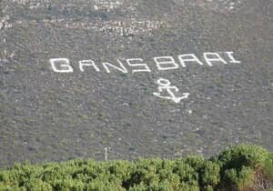 How Gansbaai Got Its Name on the Mountain