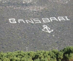 How Gansbaai Got Its Name on the Mountain