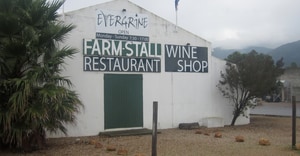 Old Stanford Village Businesses 2011 Photos