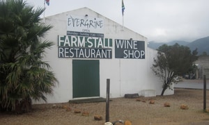Old Stanford Village Businesses 2011 Photos