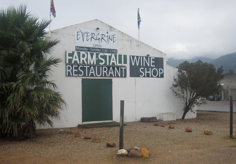 Old Stanford Village Businesses 2011 Photos