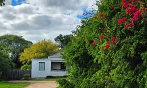 Beautiful Photos of Stanford Village