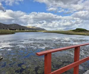 Kleinmond Lagoon at Sunset