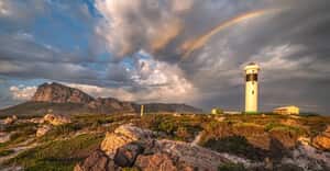 Kogelberg Biosphere Photography by Christoff Theunissen