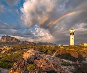 Kogelberg Biosphere Photography by Christoff Theunissen