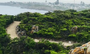 Hermanus Cliff Path Whale Watching Walk