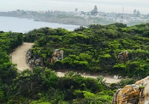 Hermanus Cliff Path Whale Watching Walk