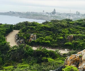 Hermanus Cliff Path Whale Watching Walk