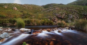 Greyton Nature Reserve History 1977
