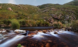 Greyton Nature Reserve History 1977