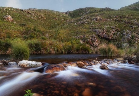 Greyton Nature Reserve History 1977