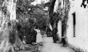 History of Houw Hoek Hotel in Grabouw 1779