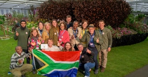 SA Wins Gold at Chelsea Flower Show 2026