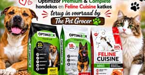 Optimizor and Feline Cuisine Back!