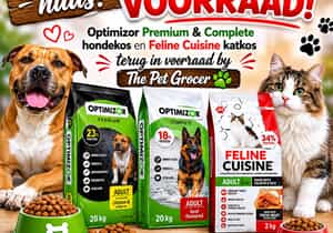 Optimizor and Feline Cuisine Back!