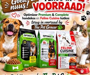 Optimizor and Feline Cuisine Back!