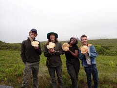 Grootbos Team Discovers Rare Oyster Mushroom