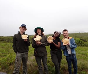 Grootbos Team Discovers Rare Oyster Mushroom