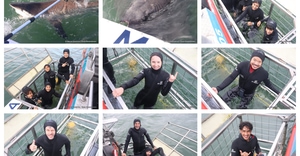 Daily Blog: 26 May 2026 | Shark Cage Diving in South Africa