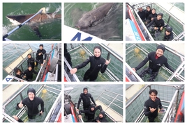 Daily Blog: 26 May 2026 | Shark Cage Diving in South Africa