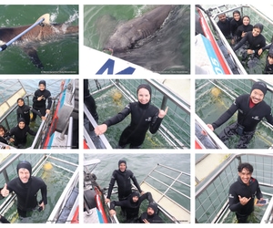 Daily Blog: 26 May 2026 | Shark Cage Diving in South Africa