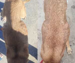 Mia’s Transformation