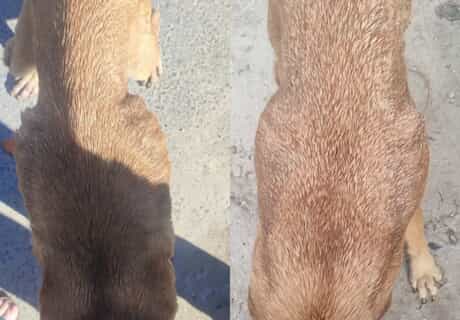 Mia’s Transformation