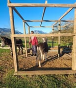 EARS Donkey Sanctuary Storm Damage | Help Rebuild Hospital Camp