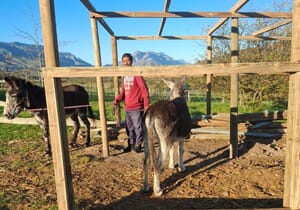 EARS Donkey Sanctuary Storm Damage | Help Rebuild Hospital Camp
