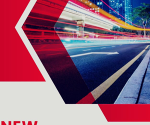 Digit Bureau Services: 24/7 Control Room and Risk Mitigation