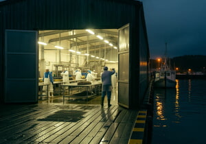 Nightshift
