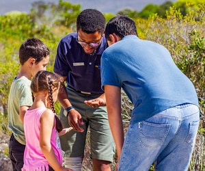 De Hoop Mini Ranger Winter Holiday 2026