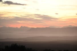 Cape Leopard Stories at Grootbos