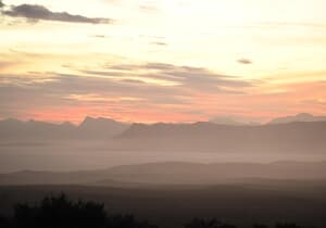Cape Leopard Stories at Grootbos