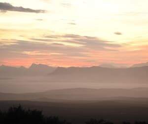 Cape Leopard Stories at Grootbos