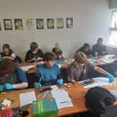 IEB-CAPS School - Overstrand Coastal Academy - Xplorio™ Pringle Bay / Rooi Els