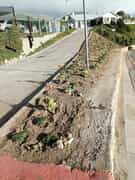 Students Complete First Fynbos Landscaping Project