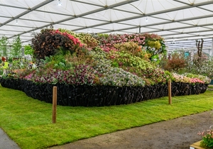 Tickets for Chelsea Flowers in Stanford 2026