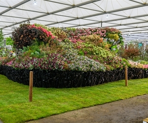 Tickets for Chelsea Flowers in Stanford 2026