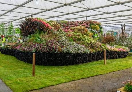 Tickets for Chelsea Flowers in Stanford 2026
