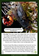 Fly Under the Microscope - Superhero Inspiration