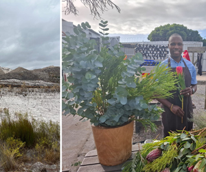 Fynbos Fire Devastation: A Florist’s Story