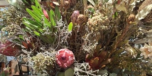 great_white_house_proteas_flowers_1_1781178641