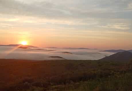 Breathtaking Winter Views Across Grootbos and Walker Bay