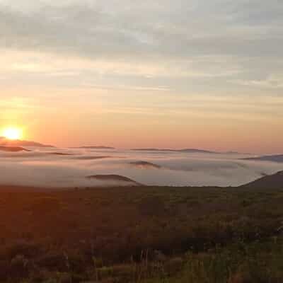 Breathtaking Winter Views Across Grootbos and Walker Bay