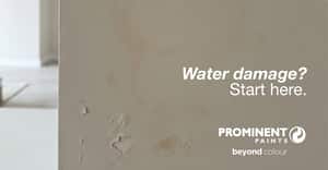 Damp Walls? Fix the Cause First