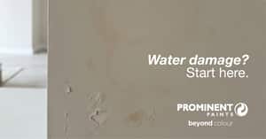 Damp Walls? Fix the Cause First