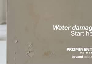 Damp Walls? Fix the Cause First