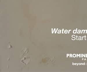 Damp Walls? Fix the Cause First
