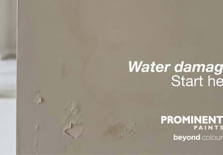 Damp Walls? Fix the Cause First